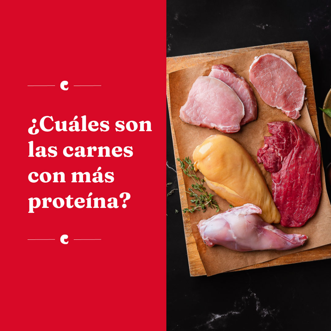 ¿Cuáles son las carnes con mayor contenido de proteína? 