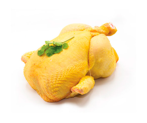 POLLO GOURMET